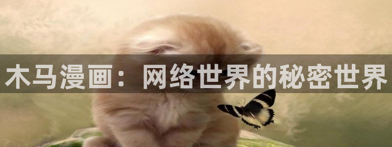 51漫画免费在线
